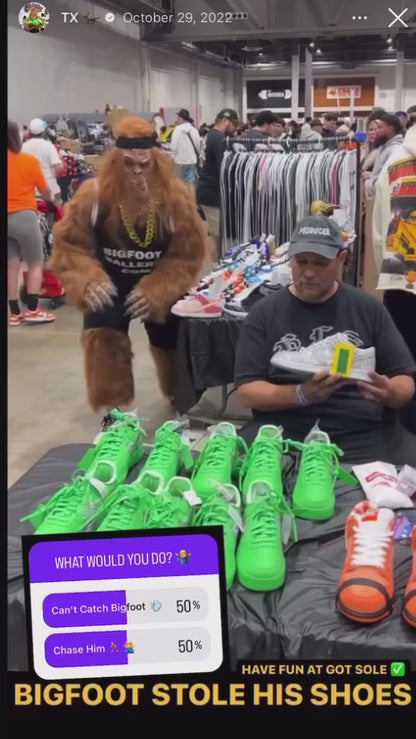 BOOK BIGFOOT